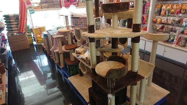 Photo of E PET SHOP @ Bandar Perda - Bukit Mertajam, Penang, Malaysia