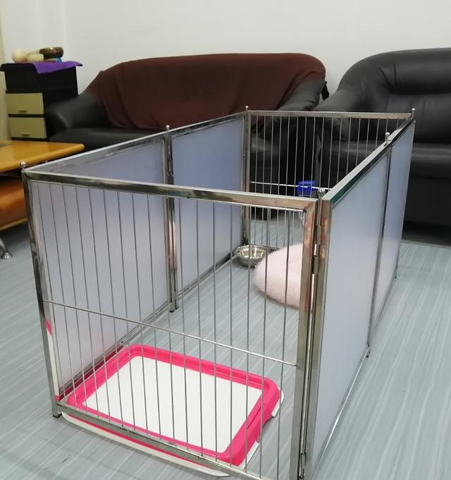 Photo of Golden City Pets Sdn. Bhd. - Kuala Lumpur, Kuala lumpur, Malaysia