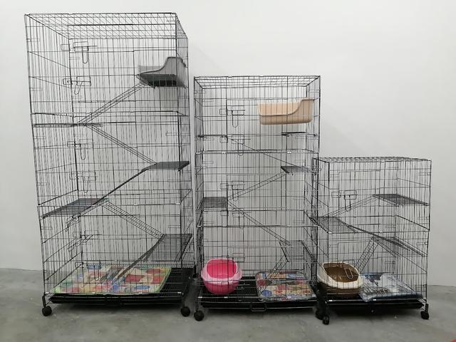 Photo of Golden City Pets Sdn. Bhd. - Kuala Lumpur, Kuala lumpur, Malaysia