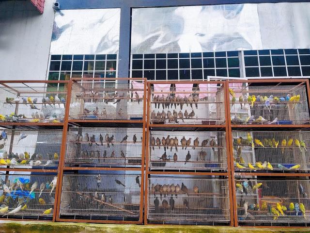 Photo of Grandeur Pets & Aquatics Puchong - Puchong, Selangor, Malaysia