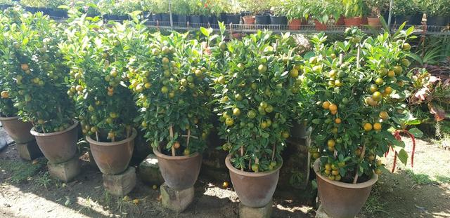 Photo of Great Heart Community Center (GHCC) 耕心慈善社区服务中心 - Klang, Selangor, Malaysia