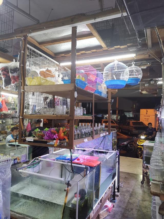 Photo of Greenwood Aquarium & Petshop - Kuala Lumpur, Kuala lumpur, Malaysia