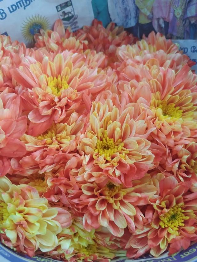 Photo of Haresh Top 1 Florist - Klang, Selangor, Malaysia