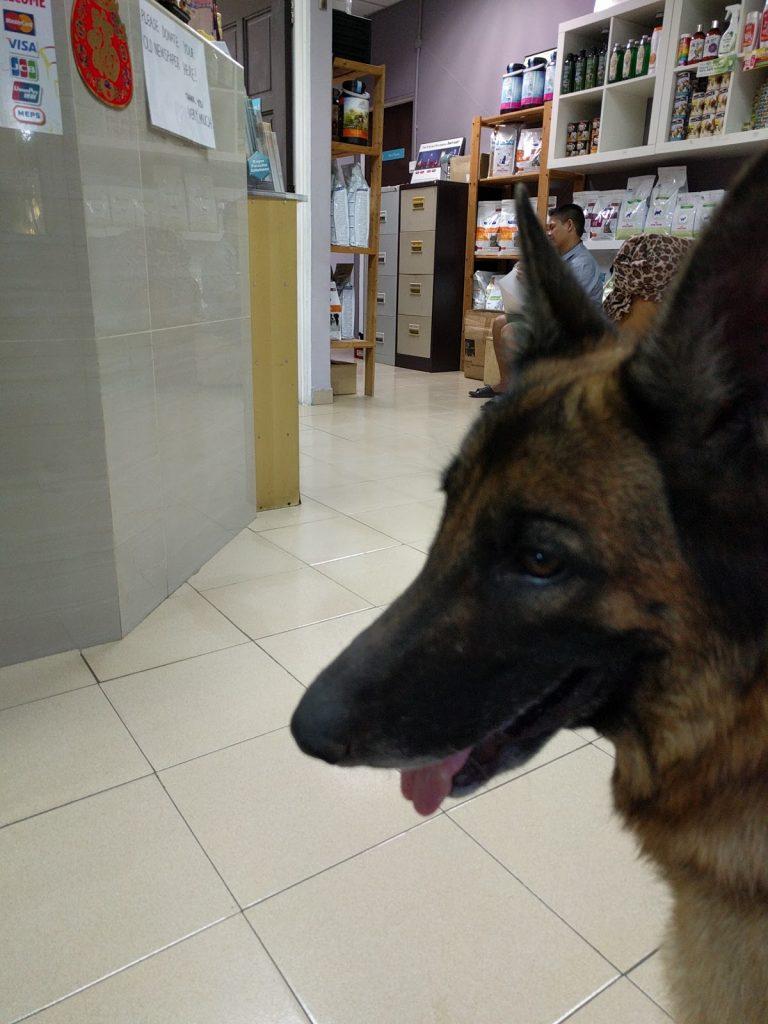 Background Blur Cover