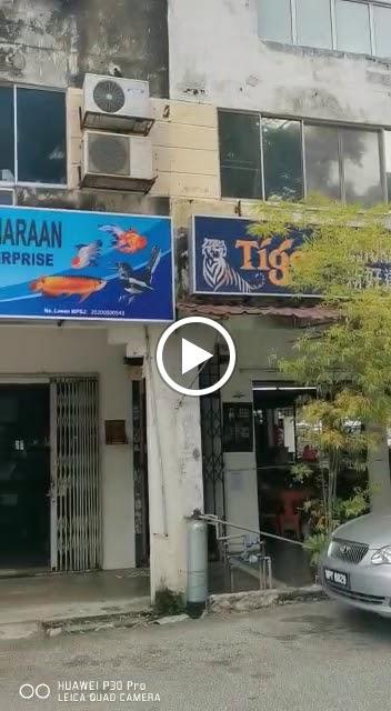 Photo of Ho Seng 28 Aquarium and Pets Shop - Puchong, Selangor, Malaysia