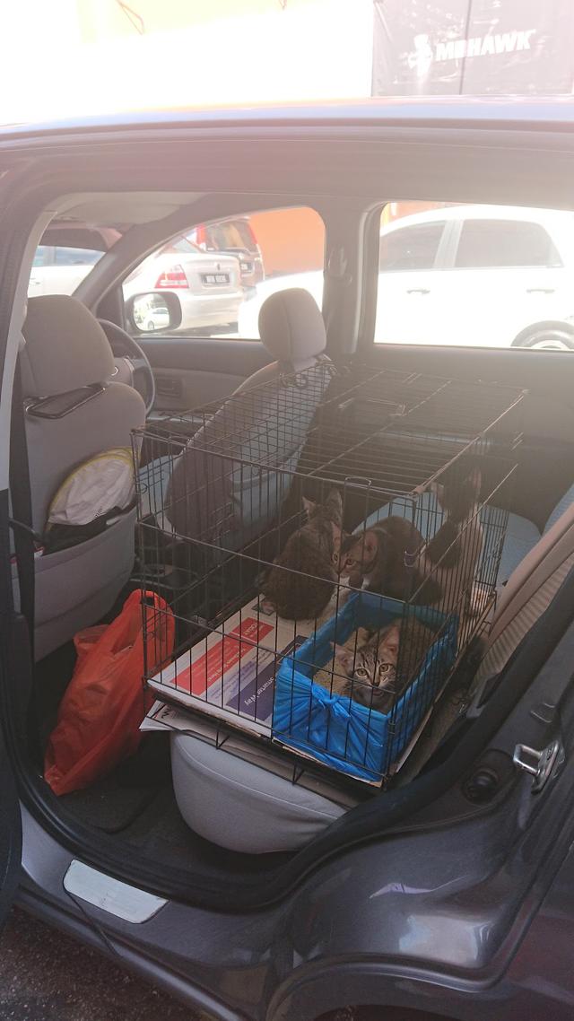 Photo of Irma Pet Care and Veterinary Services (Klinik Haiwan Bbs) - Kuala Lumpur, Kuala lumpur, Malaysia