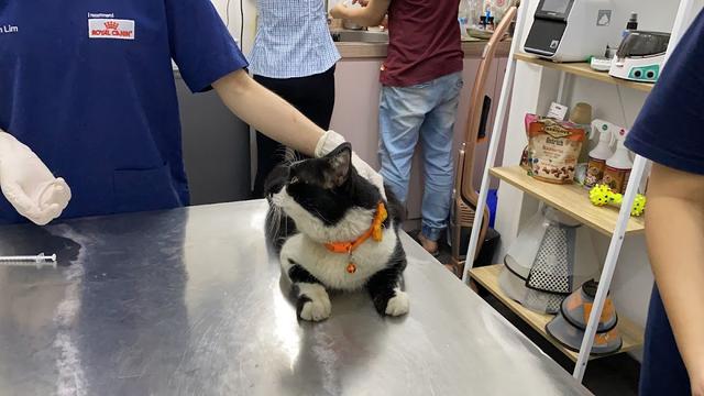 Photo of J Vet Animal Clinic - Bukit Mertajam, Penang, Malaysia