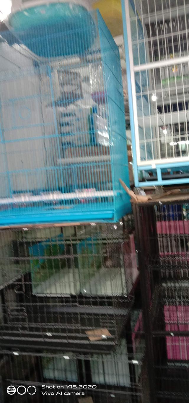 Photo of Kim Leong Pets & Aquarium - Kuala Lumpur, Kuala lumpur, Malaysia