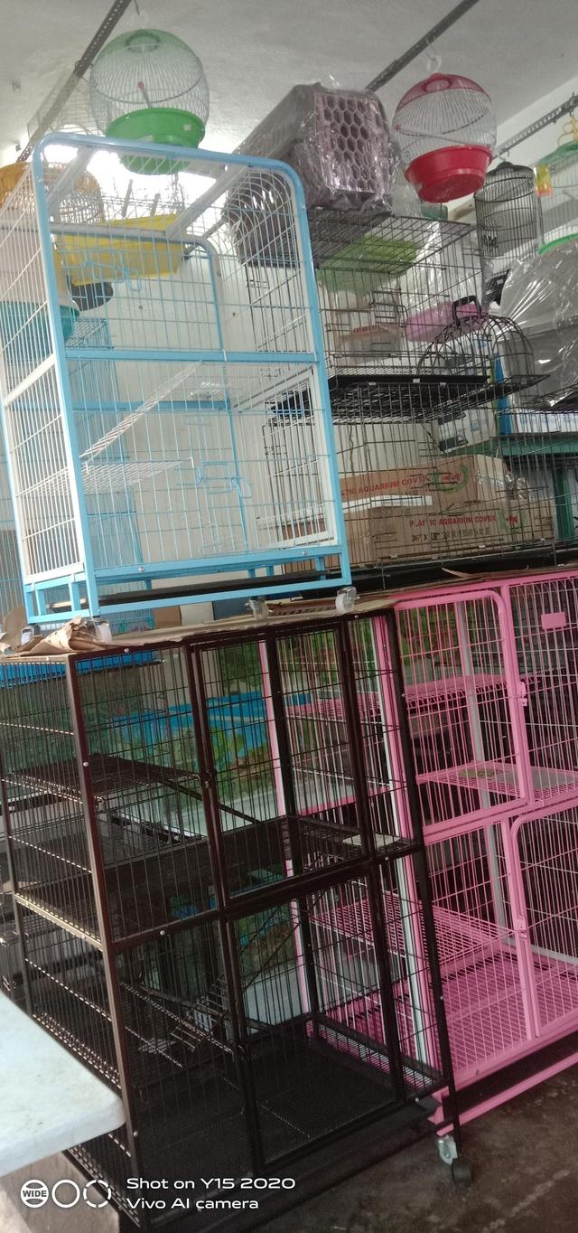 Photo of Kim Leong Pets & Aquarium - Kuala Lumpur, Kuala lumpur, Malaysia