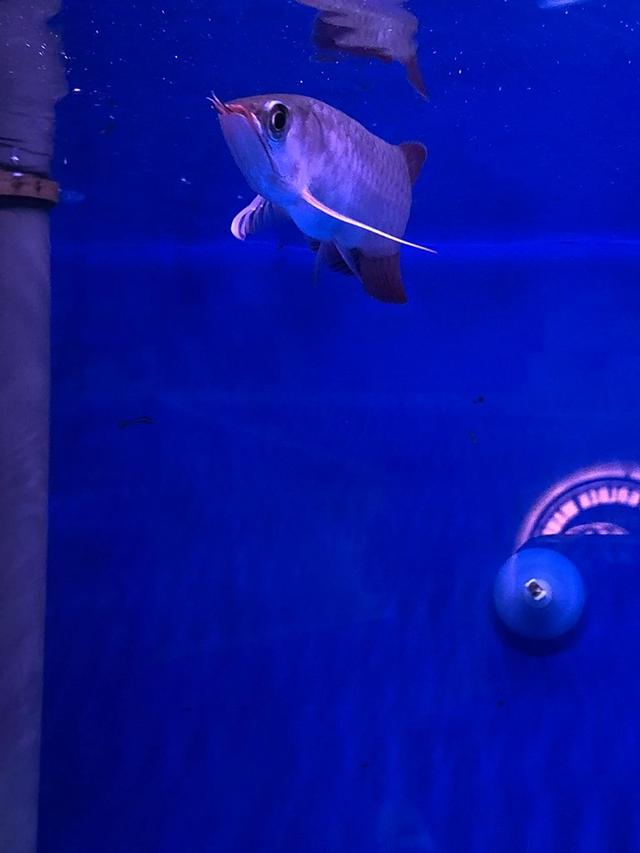 Photo of Kinpa Golden Wave Enterprise - Bukit Mertajam, Penang, Malaysia