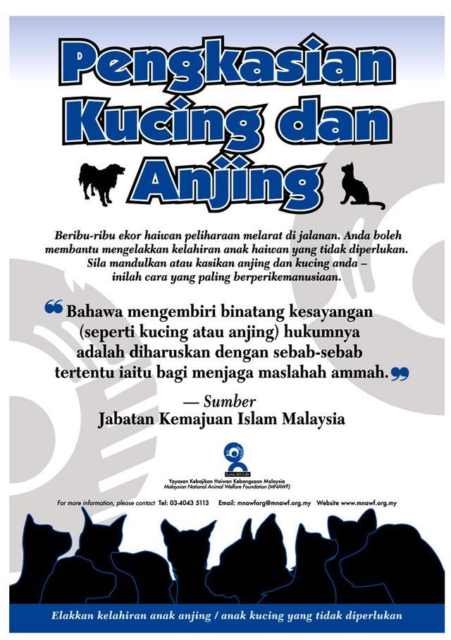 Photo of KITTY CAT CARE ENTERPRISE ( BRANCH SUNGAI DUA BUTTERWORTH) - Butterworth, Penang, Malaysia