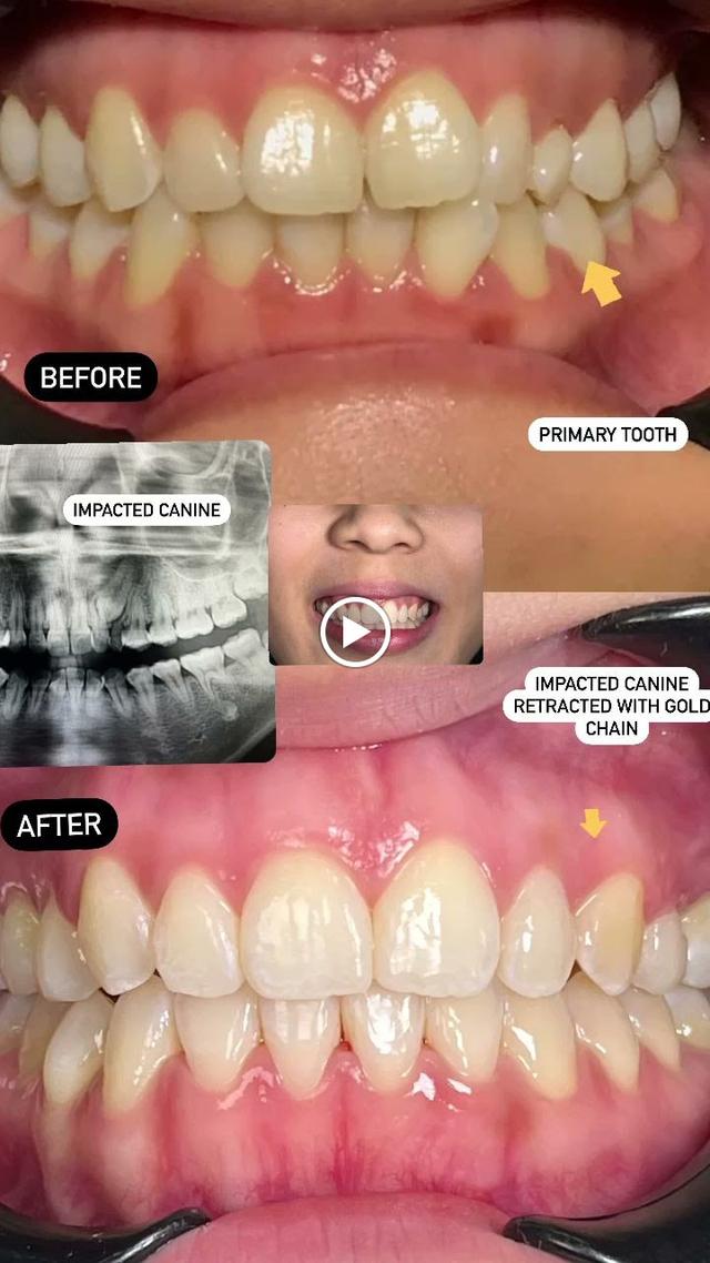 Photo of Klinik Pergigian Lee & Jay Chi liung - Klang, Selangor, Malaysia