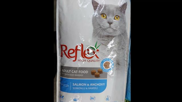 Photo of Koko Pet Shop - Bukit Mertajam, Penang, Malaysia