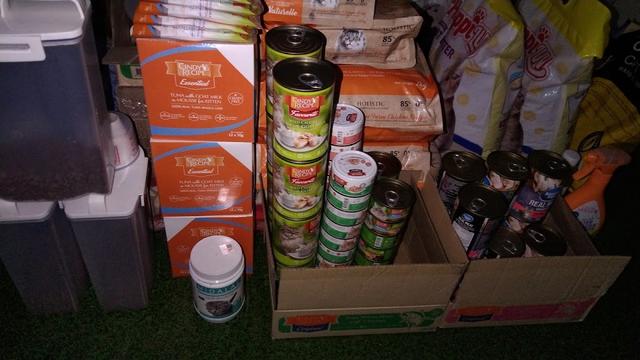 Photo of Koko Pet Shop - Bukit Mertajam, Penang, Malaysia