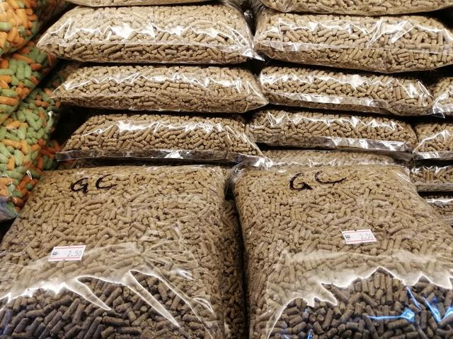 Photo of Koko Pet Shop - Bukit Mertajam, Penang, Malaysia