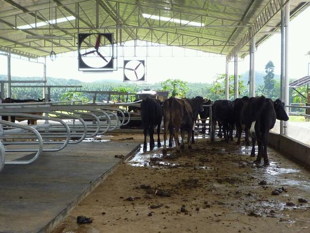 Photo of KS Vet Supplies Sdn. Bhd. - Klang, Selangor, Malaysia