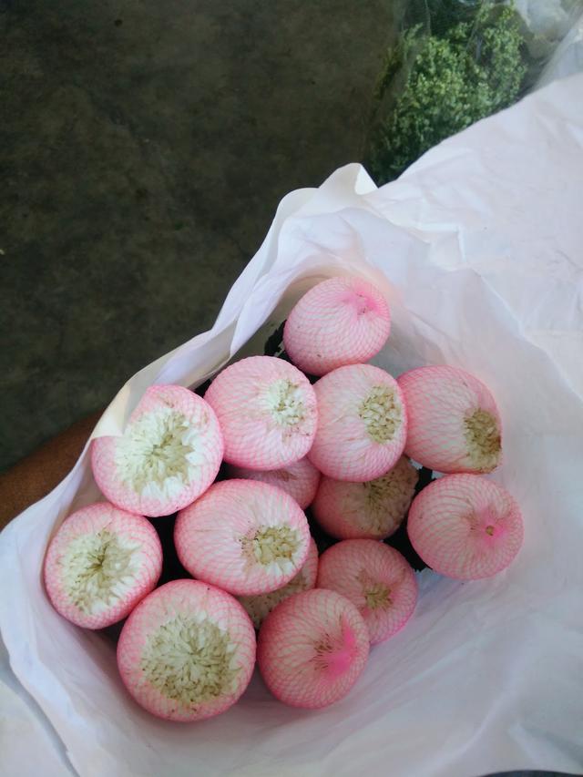 Photo of Lity Florist Sdn. Bhd. (512416-V) - Bukit Mertajam, Penang, Malaysia