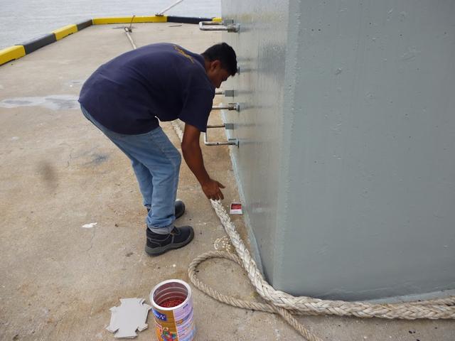 Photo of Madani Pest Control Services Sdn. Bhd. - Klang, Selangor, Malaysia