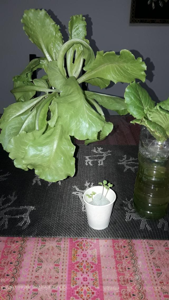 Photo of Master Laundry - Kuala Lumpur, Kuala lumpur, Malaysia