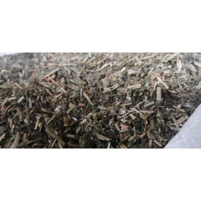 Photo of My Little Safari - Pet Center - Shah Alam, Selangor, Malaysia