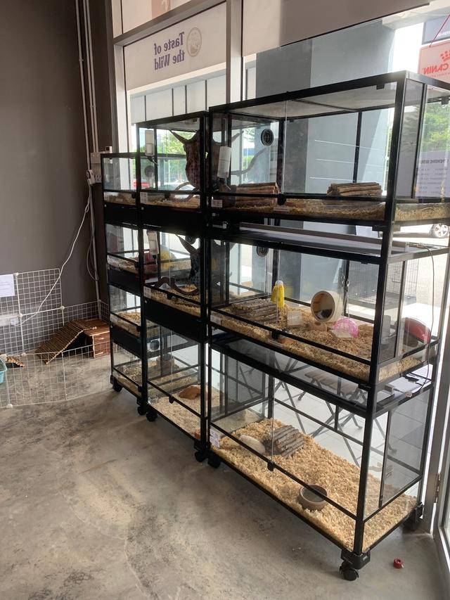 Photo of MyPETS Bukit Rimau - Shah Alam, Selangor, Malaysia