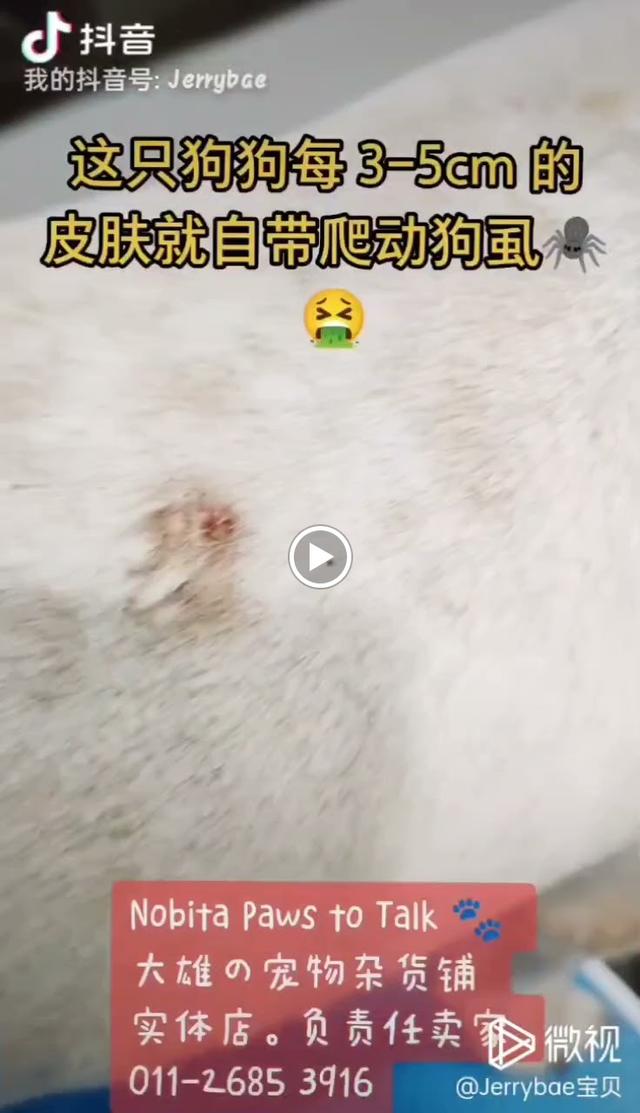 Photo of Nobita paws to Talk - Bukit Mertajam, Penang, Malaysia