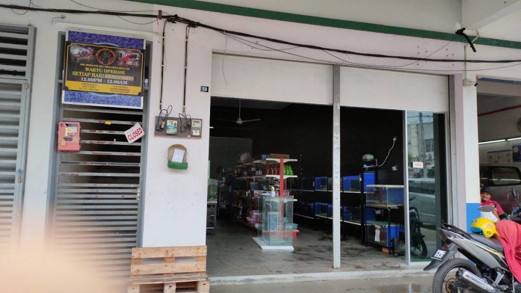 Background Blur Cover