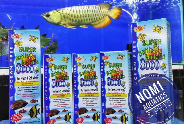 Photo of NQM1 Aquatics & Pets - Butterworth, Penang, Malaysia