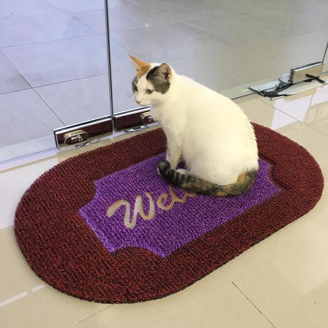 Photo of One Sierra Veterinary Clinic - Kuala Lumpur, Kuala lumpur, Malaysia