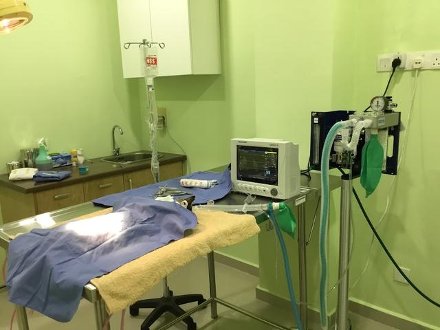 Photo of One Sierra Veterinary Clinic - Kuala Lumpur, Kuala lumpur, Malaysia