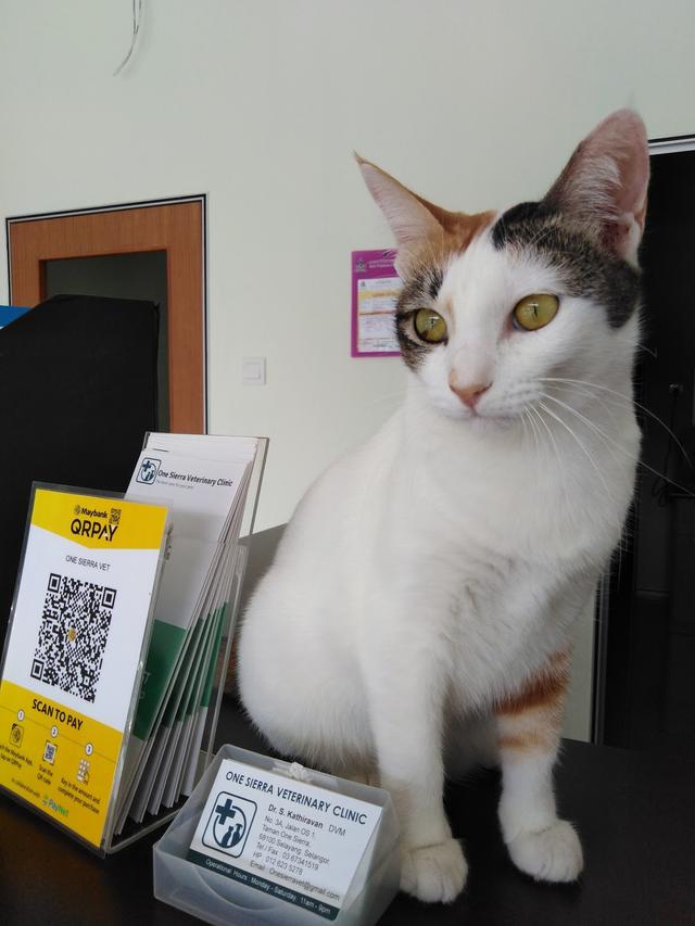 Photo of One Sierra Veterinary Clinic - Kuala Lumpur, Kuala lumpur, Malaysia