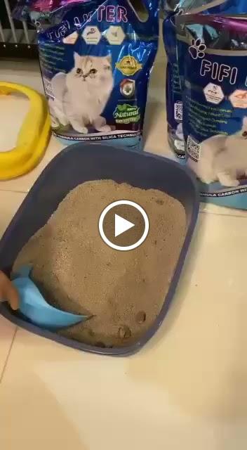 Photo of Pet Garden - Bukit Mertajam, Penang, Malaysia