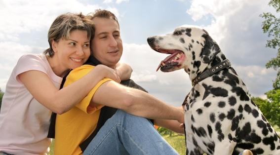 Photo of Pet Lovers Centre - Aeon Mall Shah Alam - Shah Alam, Selangor, Malaysia