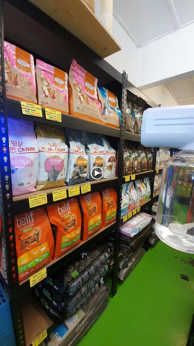 Photo of Puchong petshop - Puchong, Selangor, Malaysia