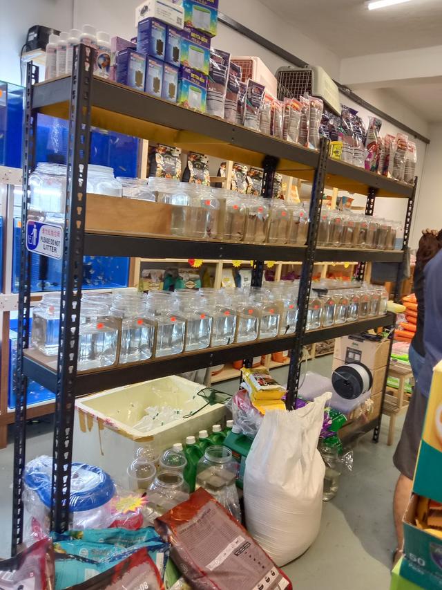 Photo of Rio Pets Store - Bukit Mertajam, Penang, Malaysia