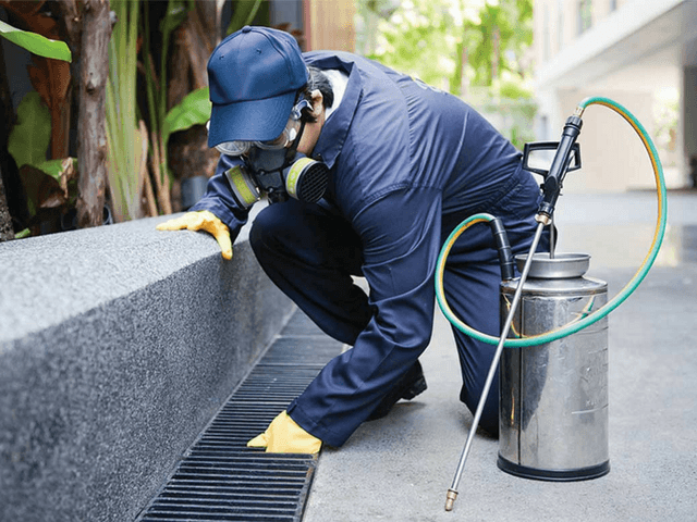 Photo of Safwan Pest Management Sdn Bhd - Puchong, Selangor, Malaysia