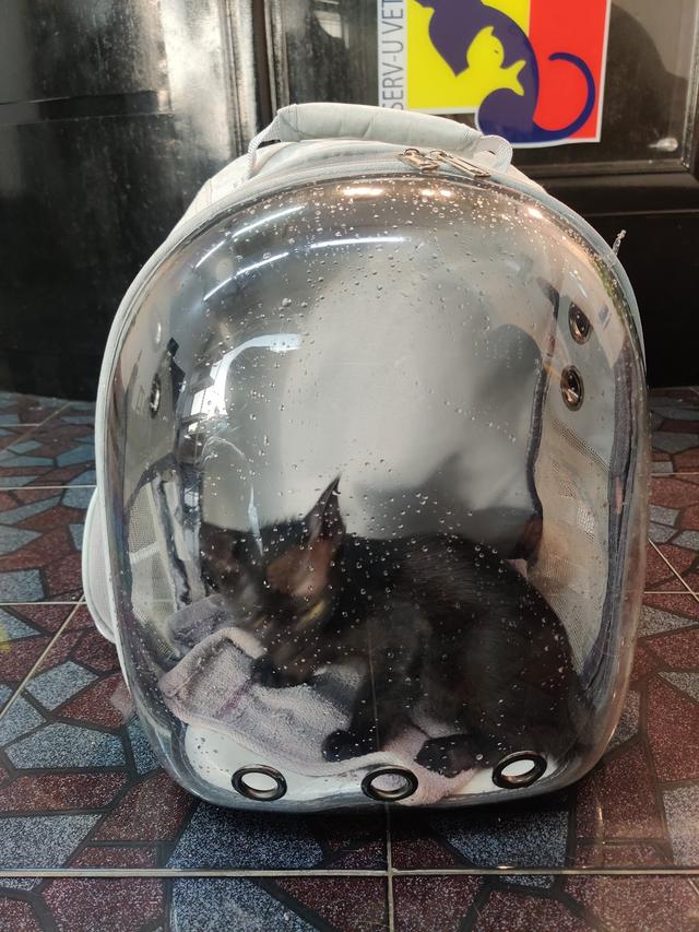 Photo of Serv-U Veterinary Clinic & Surgery ( Klinik Haiwan Serv-U) - Shah Alam, Selangor, Malaysia