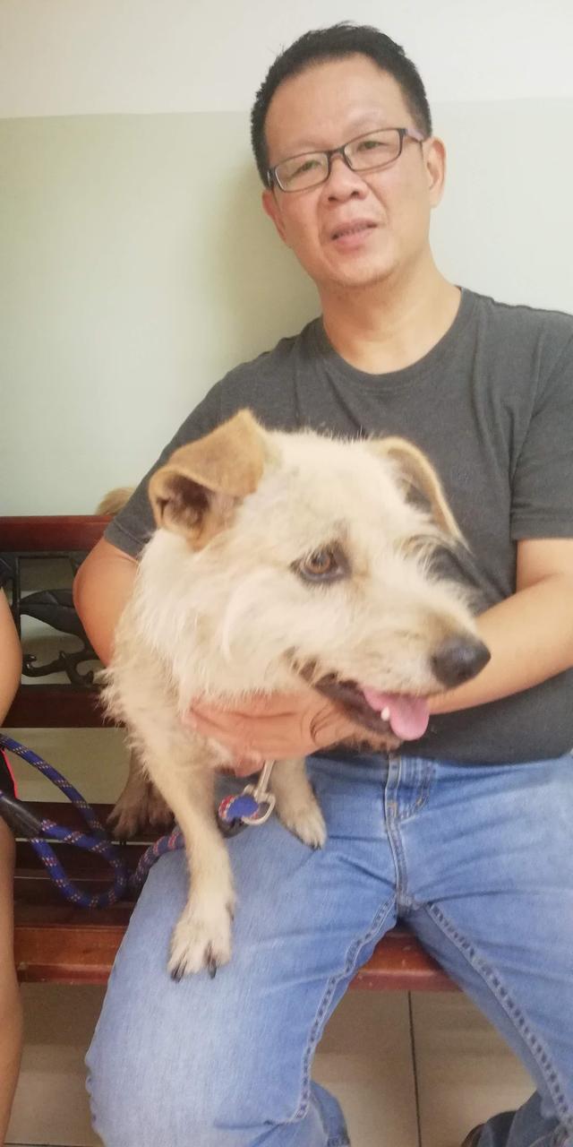 Photo of Setia Alam Veterinary Clinic & Surgery - Shah Alam, Selangor, Malaysia