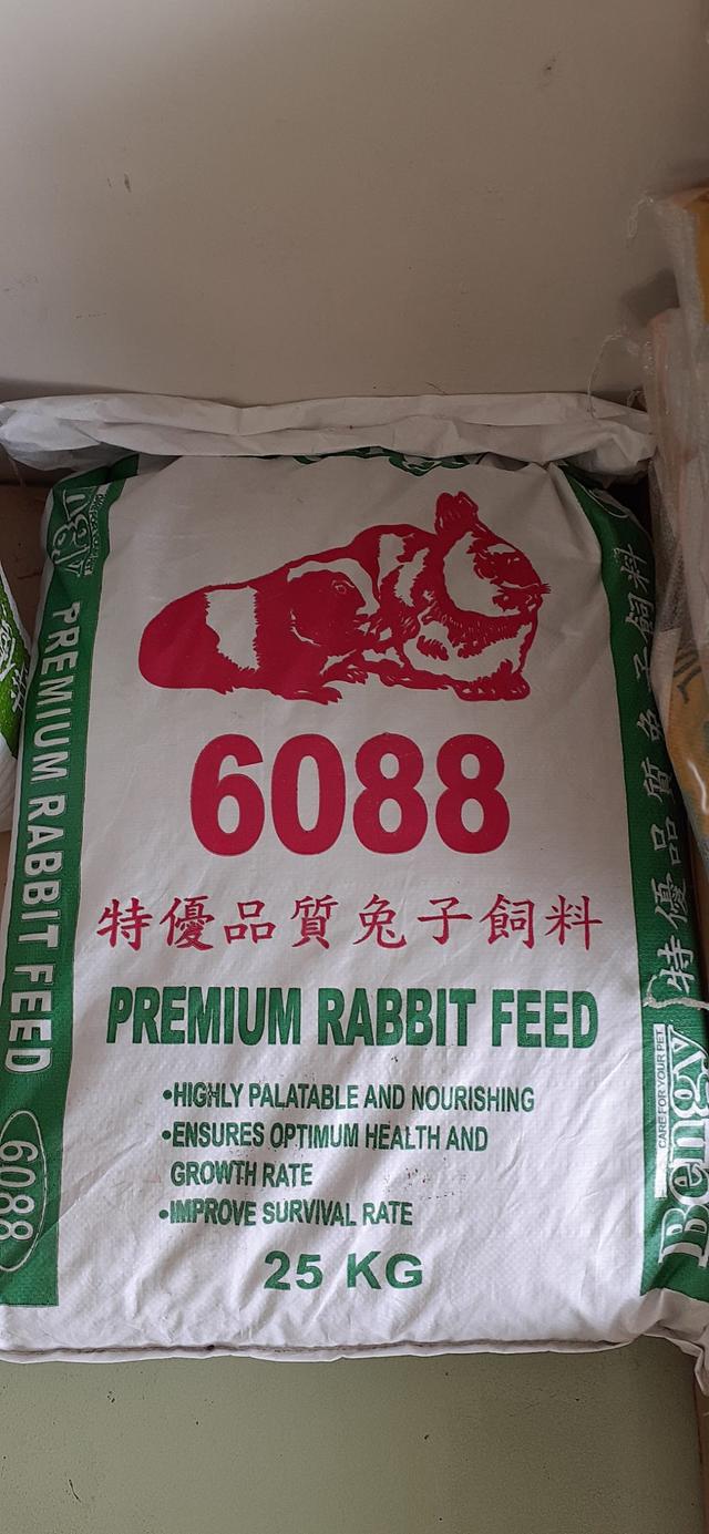 Photo of Shikin Pet Shop - Bukit Mertajam, Penang, Malaysia