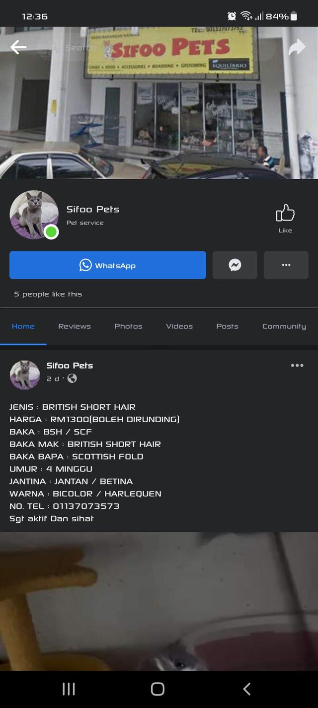 Photo of Sifoo Pets Shah Alam - Shah Alam, Selangor, Malaysia