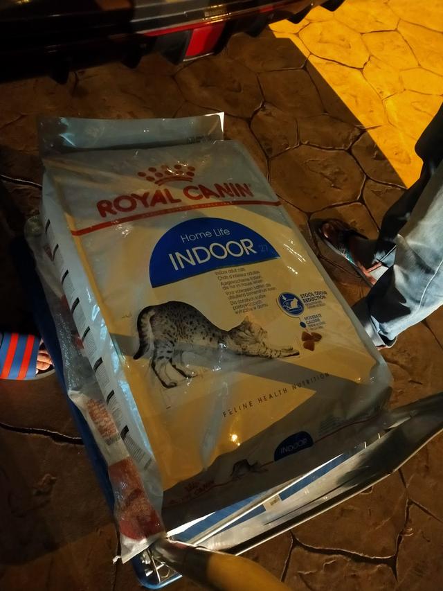 Photo of Sifoo Pets Shah Alam - Shah Alam, Selangor, Malaysia