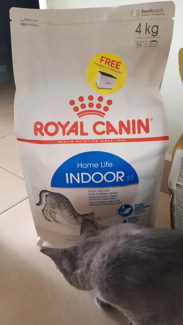 Photo of Sifoo Pets Shah Alam - Shah Alam, Selangor, Malaysia