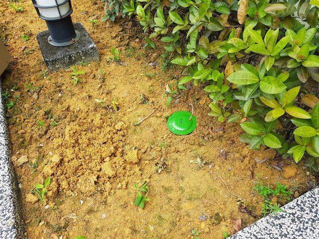 Photo of Skill Pest Control Sdn Bhd - Kuala Lumpur, Kuala lumpur, Malaysia