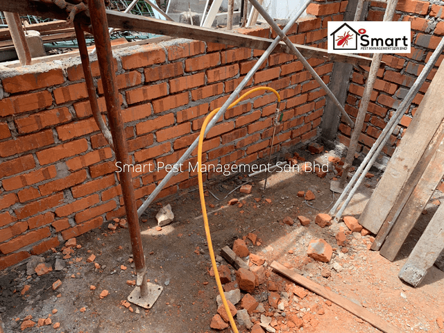 Photo of Smart Pest Management Sdn Bhd ( KL & Selangor ) - Termite & Pest Control Professional - Klang, Selangor, Malaysia