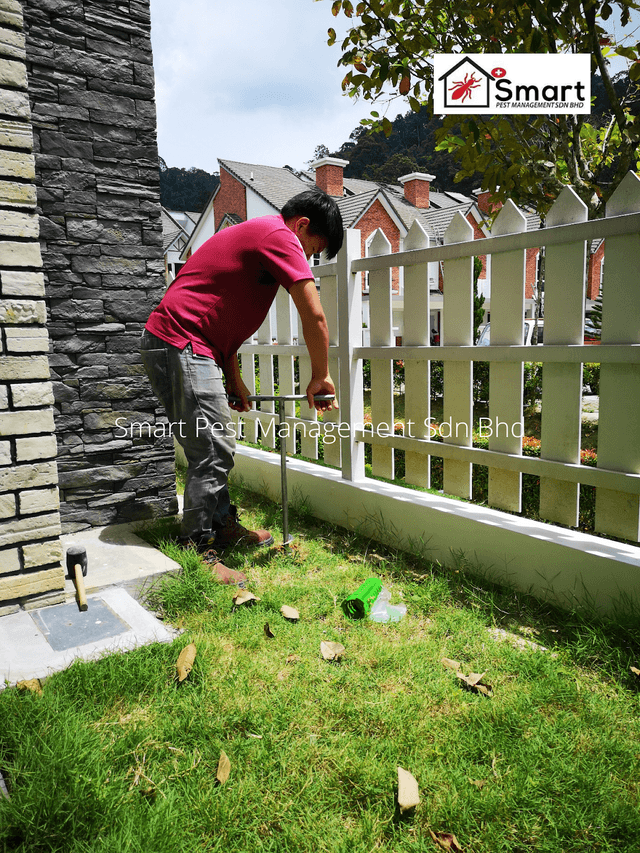 Photo of Smart Pest Management Sdn Bhd ( KL & Selangor ) - Termite & Pest Control Professional - Klang, Selangor, Malaysia
