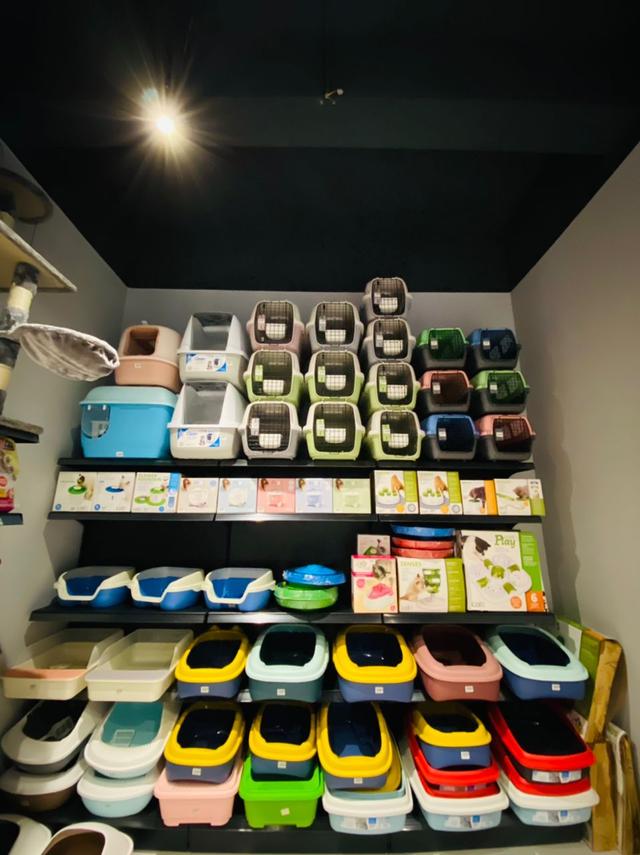 Photo of Step In Pet Shop Bukit Rimau - Shah Alam, Selangor, Malaysia