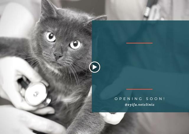 Photo of Syifa’ Veterinary Clinic - Klang, Selangor, Malaysia