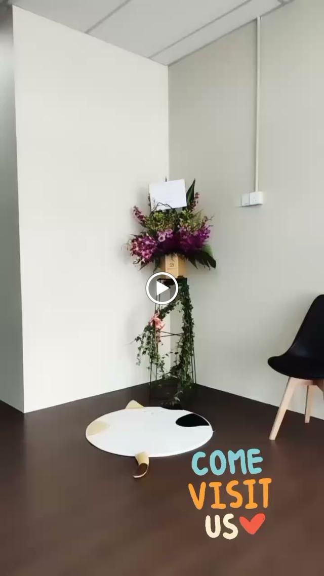 Photo of Syifa’ Veterinary Clinic - Klang, Selangor, Malaysia