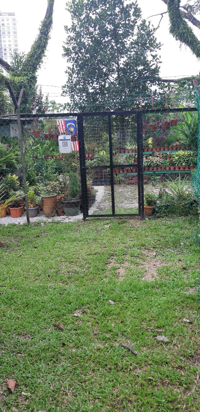 Photo of Tapak Semaian Pokok(CEMPAKA NURSERIES) - Kuala Lumpur, Kuala lumpur, Malaysia