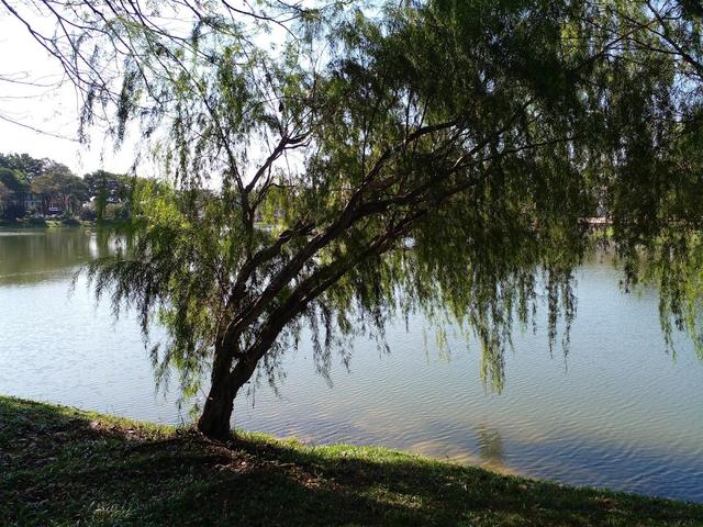 Photo of Tasik Kelana Jaya - Petaling Jaya, Selangor, Malaysia